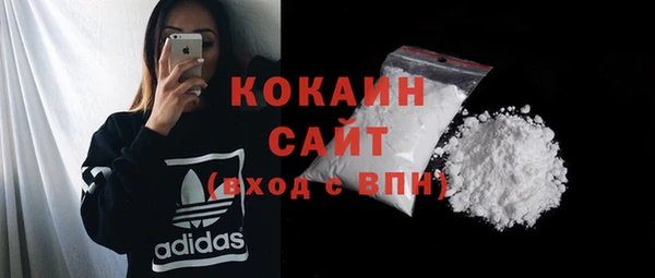 шишки Бронницы