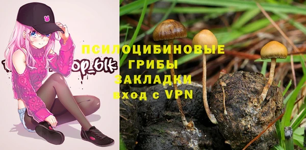 шишки Бронницы