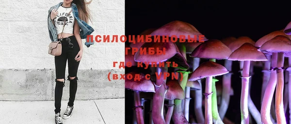 герыч Бородино